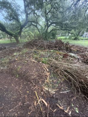 Yard Waste Removal in Parrish, FL (2)