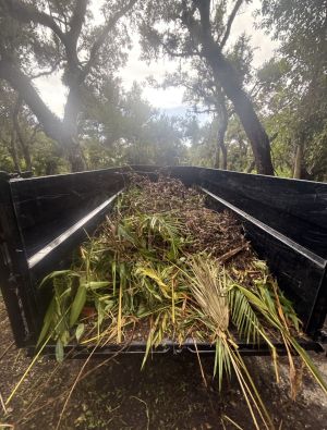 Yard Waste Removal in Parrish, FL (1)