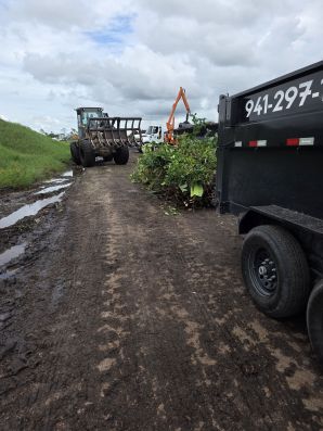 Yard Waste Removal in Whitfield, FL (2)