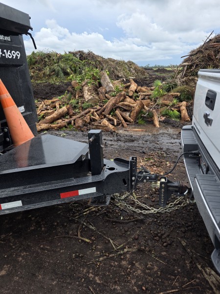 Yard Waste Removal in Whitfield, FL (3)