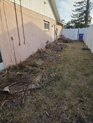 Yard Waste Removal in Bradenton, FL (1)