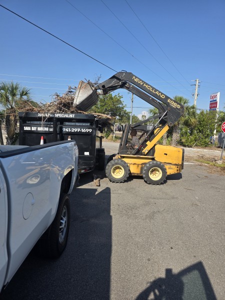 Yard Waste Removal in Sarasota, FL (1)